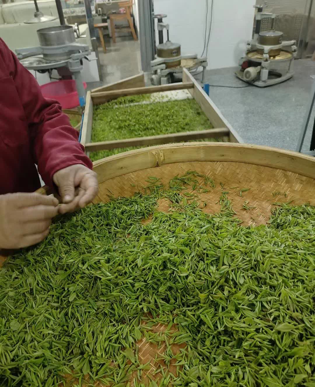 茶箩空了，心却满了