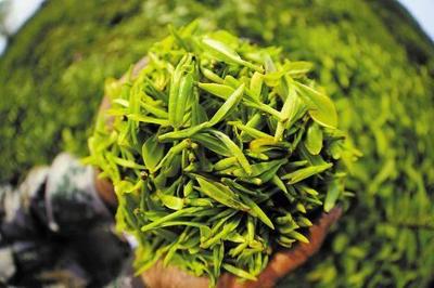 泉边|&ldquo;泉祥&rdquo;当年曾被称为孟洛川的&ldquo;茶叶帝国&rdquo;