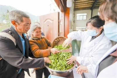 茶香浸润的振兴之路 毕节绘就乡村振兴新画卷