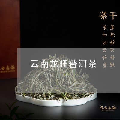 云南普洱茶科普 从古树茶园到现代收购体系 - 2023年最新进展
